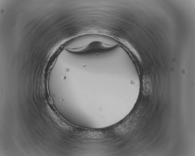 X0000085070972200704021406