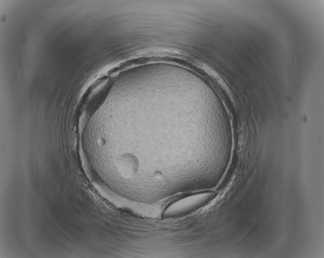 X0000085070973200704021406