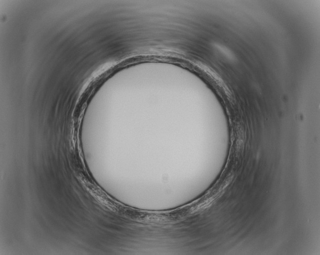 X0000085070974200704021406