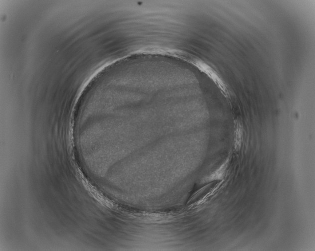 X0000085070976200704021406