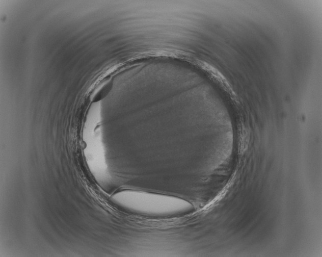 X0000085070977200704021406