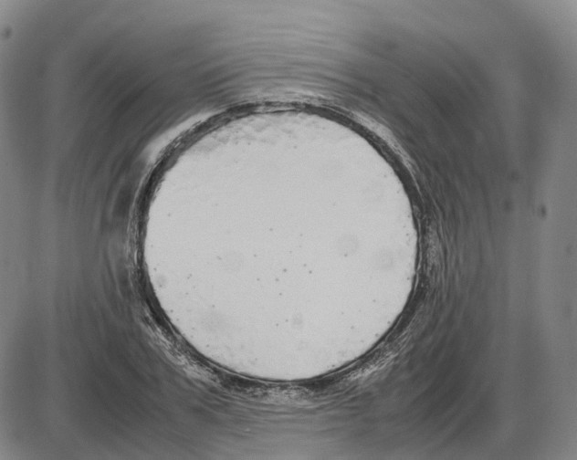 X0000085070979200704021406