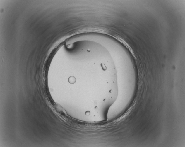 X0000085070981200704021406