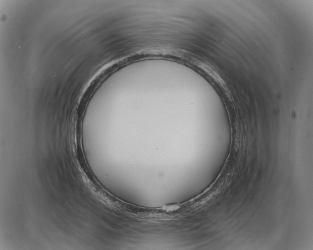 X0000085070984200704021406