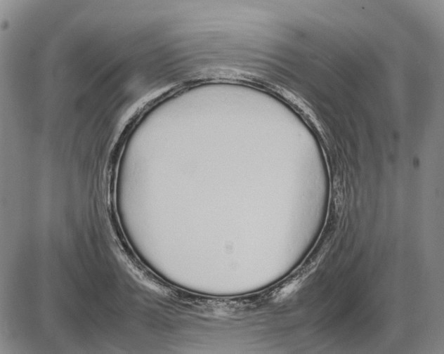 X0000085070987200704021406