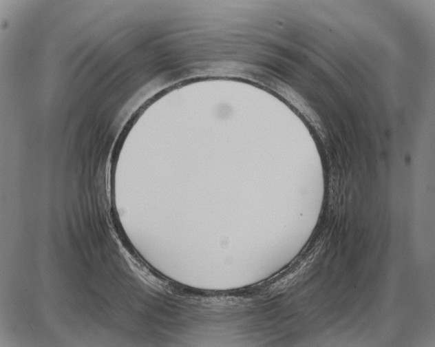 X0000085070988200704021406