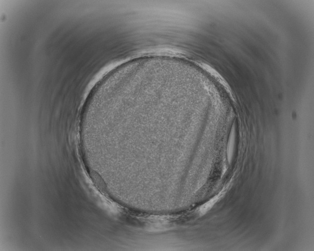 X0000085070989200704021406