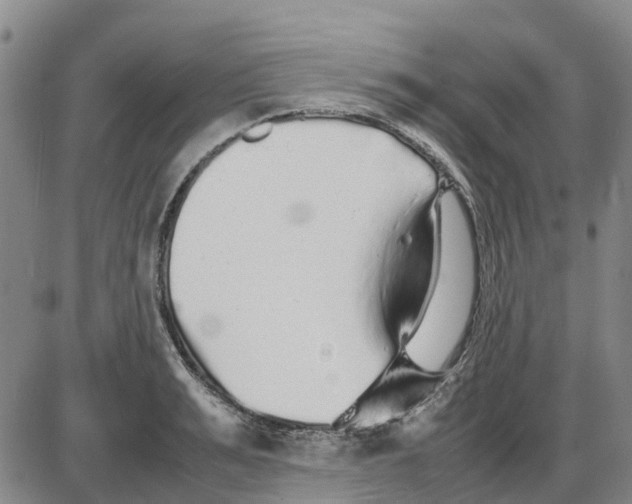 X0000085070991200704021406