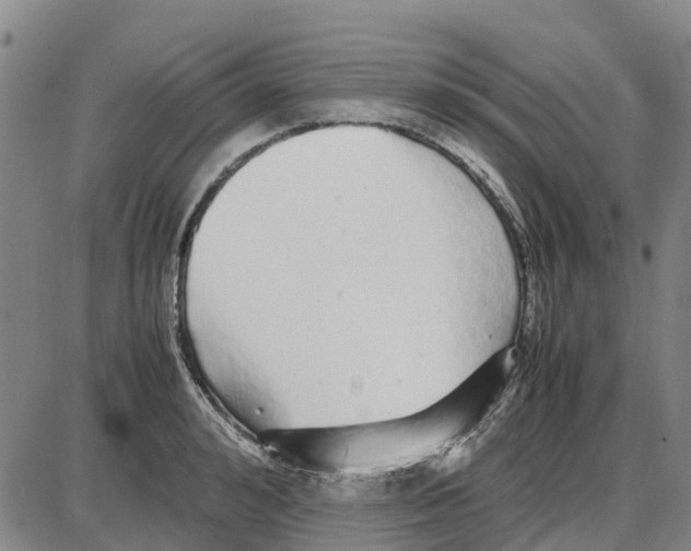 X0000085070992200704021406