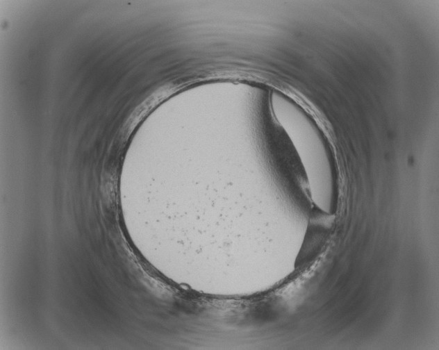 X0000085070993200704021406