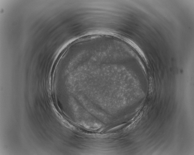 X0000085070996200704021406