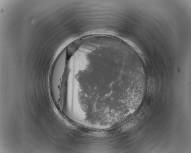 X0000085070998200704021406