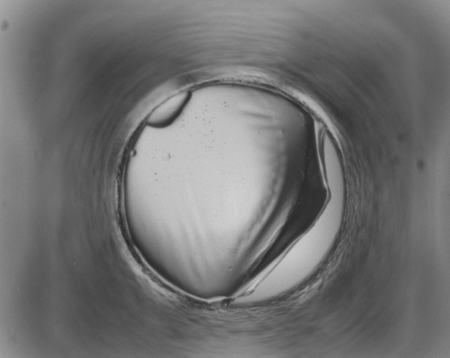 X0000085070999200704021406