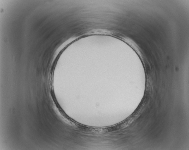 X0000085071003200704021406