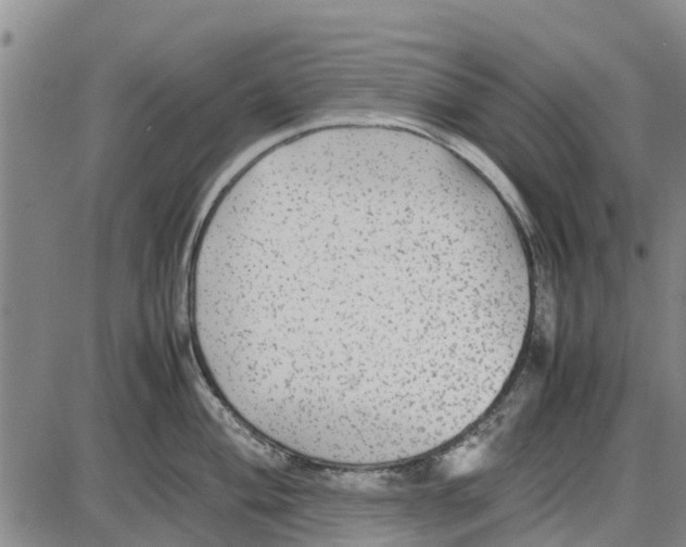 X0000085071004200704021406