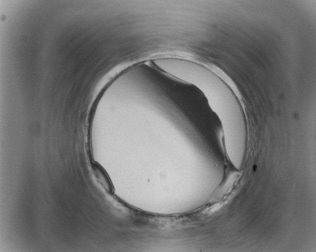 X0000085071005200704021406