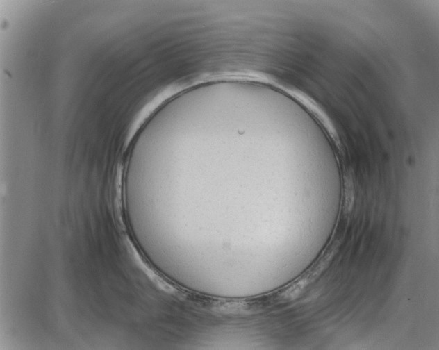 X0000085071006200704021406