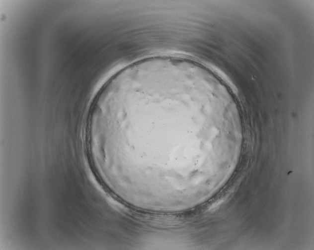 X0000085071007200704021406