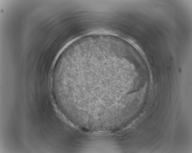 X0000085071008200704021406