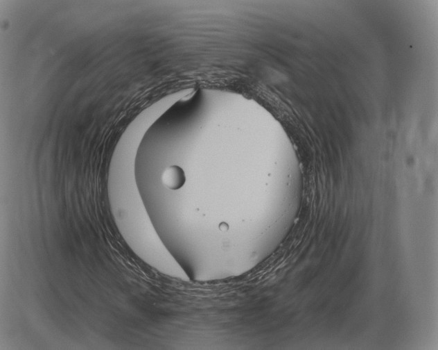 X0000085071010200704021405