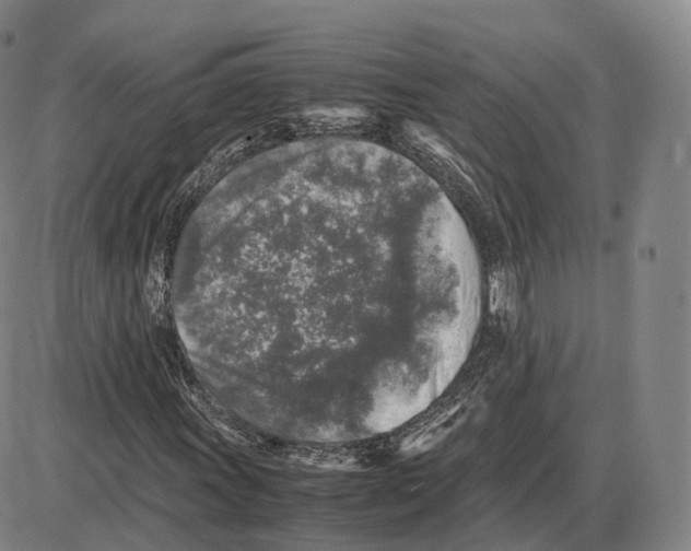 X0000085071011200704021405