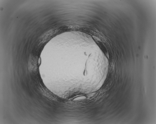 X0000085071012200704021405