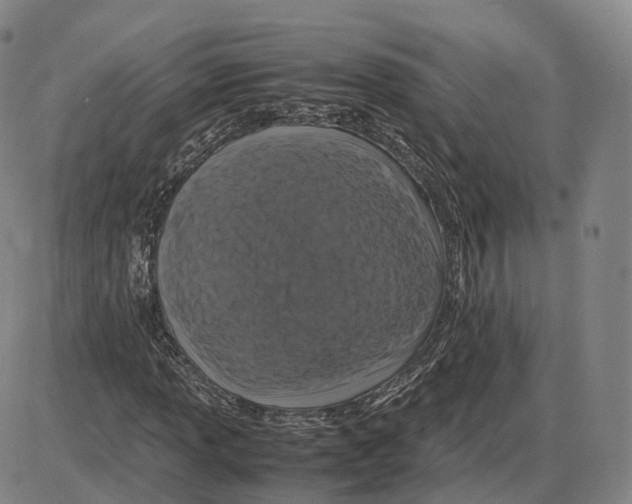 X0000085071013200704021405