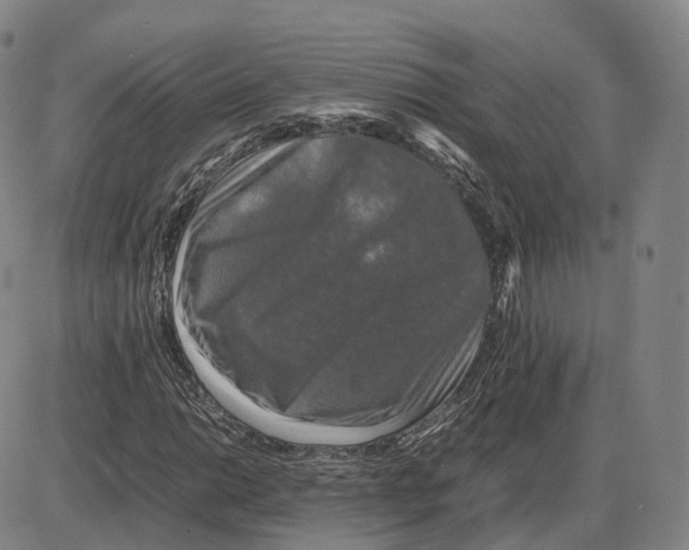 X0000085071014200704021405