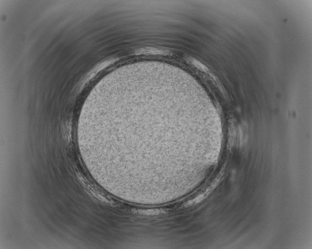 X0000085071017200704021405