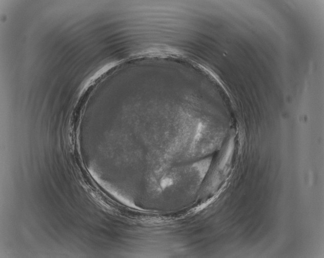 X0000085071018200704021405