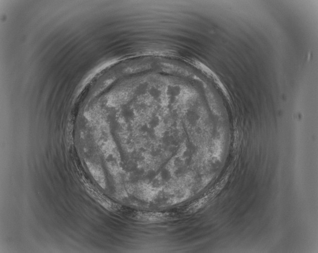 X0000085071019200704021405