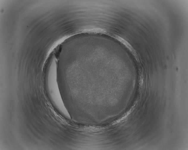 X0000085071022200704021405