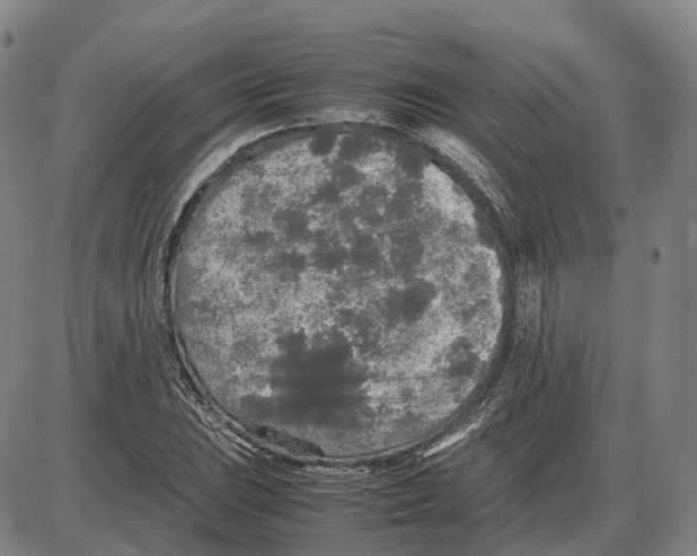 X0000085071023200704021405