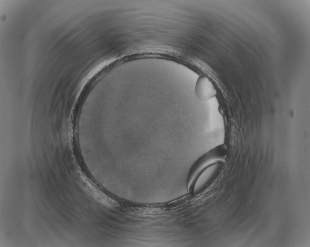 X0000085071024200704021405