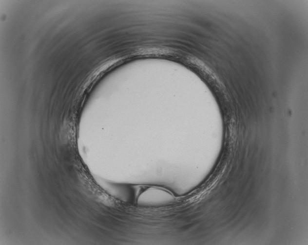 X0000085071025200704021405