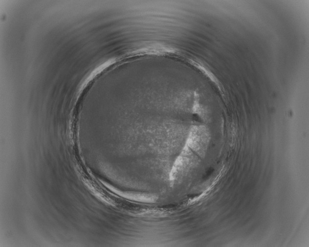 X0000085071026200704021405