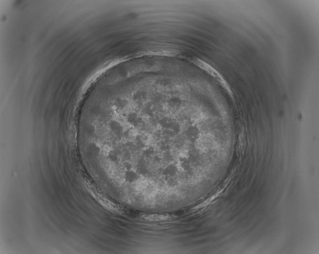 X0000085071027200704021405