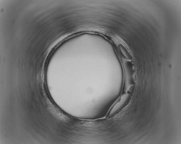 X0000085071028200704021405