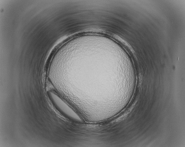 X0000085071029200704021405