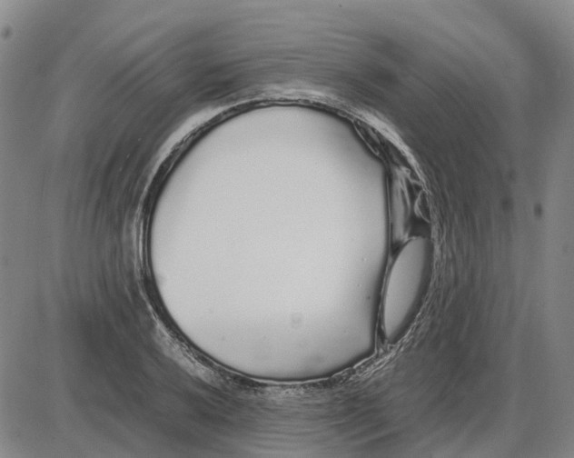 X0000085071032200704021405