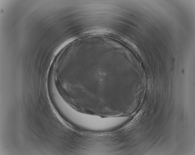 X0000085071034200704021406