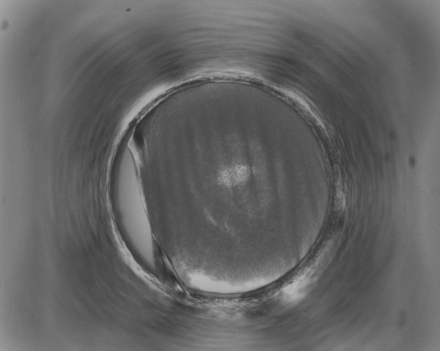 X0000085071038200704021406