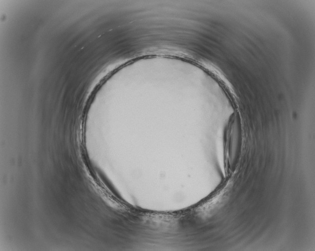 X0000085071040200704021406