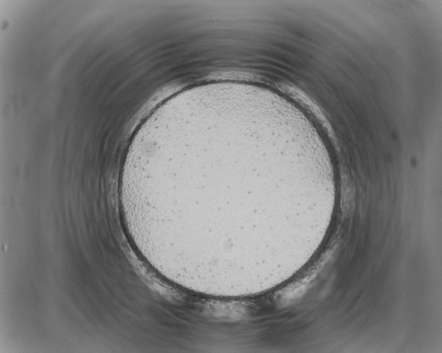 X0000085071041200704021406