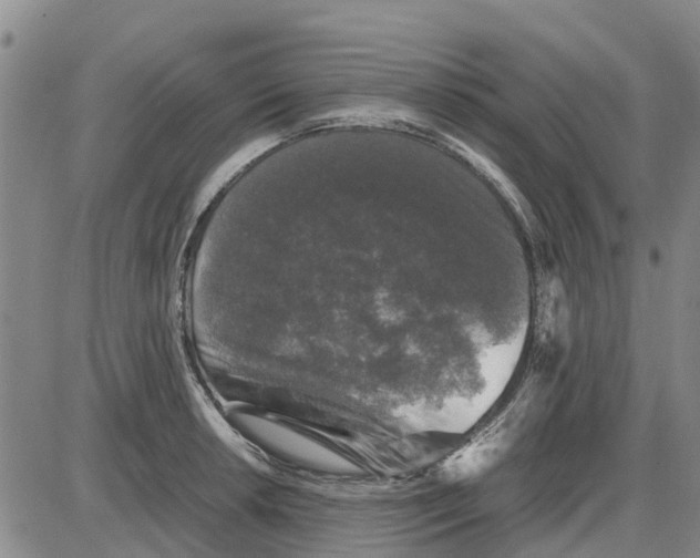 X0000085071042200704021406