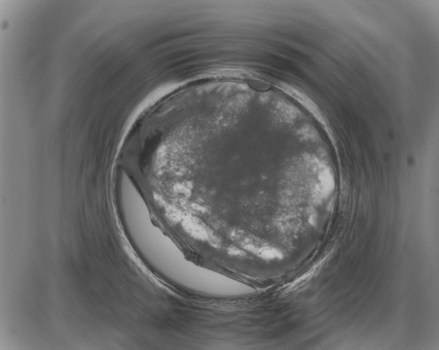 X0000085071045200704021406