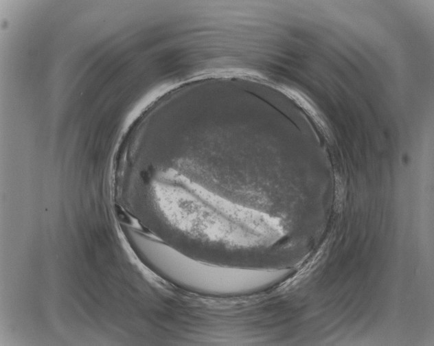 X0000085071046200704021406