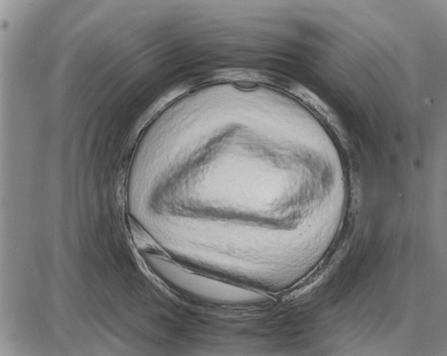 X0000085071049200704021406