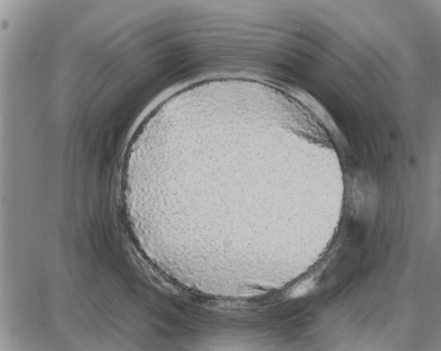 X0000085071052200704021406