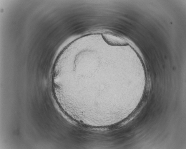 X0000085071053200704021406